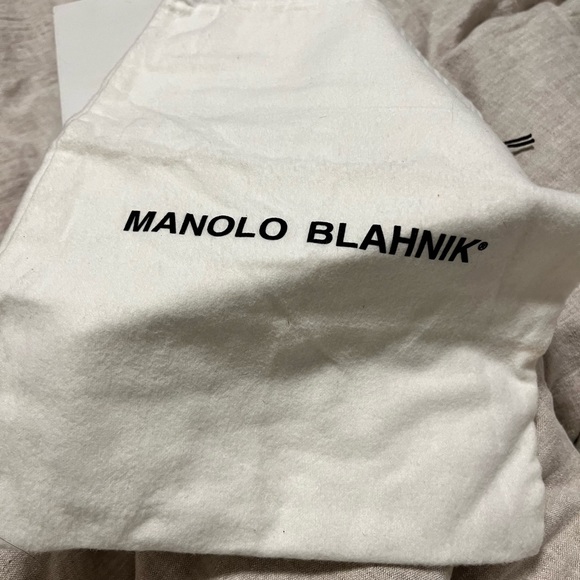 Manolo Blahnik Classic Platinum shoes, Women’s Euro 40, US 9, perfect condition! - Picture 11 of 11